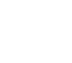 logo assistenza viva bianco